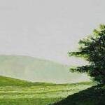 Immagine: Foto 8