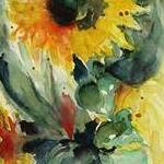 Immagine: Girasoli