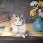 Immagine: La Mia Gatta Perisiana - My Persian Cat
