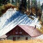 Immagine: "Malga Selva"