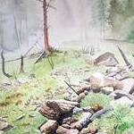 Immagine: "Nebbia in Val di Rabbi"