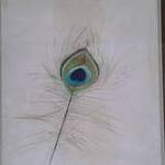Immagine: Piuma di Pavone - Peacock Feather