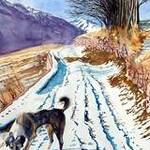 Immagine: "Salendo a Montes"