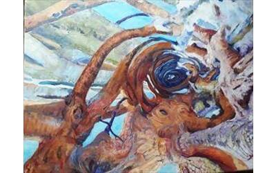 Immagine: Antolini 1