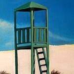 Immagine: Polselli 3