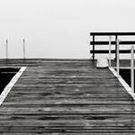 Immagine: Vezzali 10