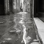 Immagine: Vezzali 5