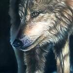 Immagine: Ravelli 5 