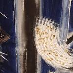 Immagine: Righi Meri riflessi blu