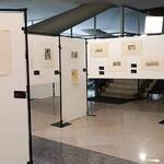 Immagine: scorcio della mostra 3