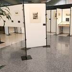 Immagine: scorcio della mostra 7