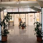 Immagine: scorcio della mostra 8