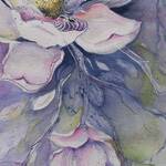 Immagine: Silvana Filz -Magnolia stellata
