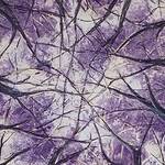 Immagine: Tait Alberto - condivisione
