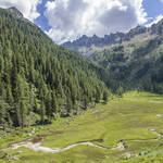 Immagine: Val d'Inferno Laura Sartor