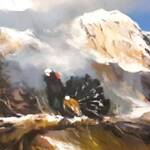 Immagine: Vianello - Gallo cedrone con lo sfondo dolomitico 