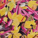 Immagine: Vidoni - Soglia 3