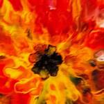 Immagine: Wittschus -Fuoco
