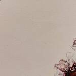 Immagine: Wittschus -Nota d'autunno