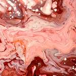 Immagine: Wittschus -Splash