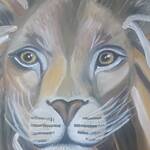 Immagine: Zangirolami 5