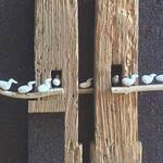 Immagine: Zanlucchi 4