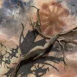 Immagine: Zanlucchi 7